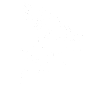 Logo white The Flying Pig